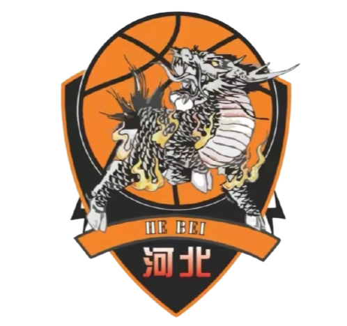 深圳新鹏城